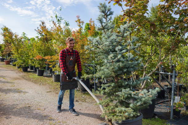 Best Tree Mulching  in Galion, OH